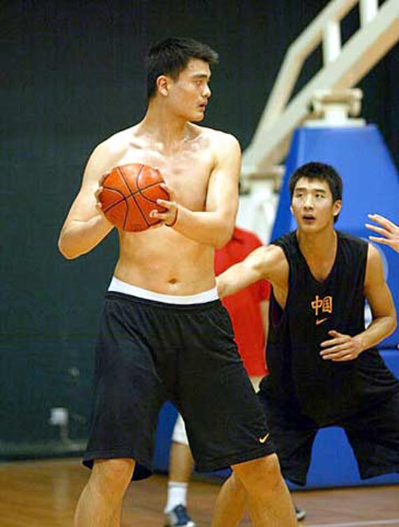 项目的观众