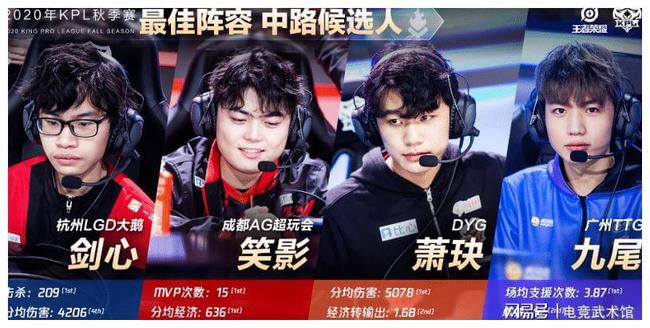 的导演
