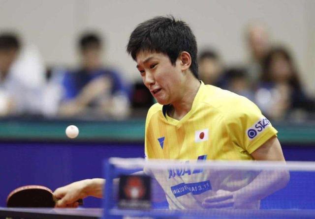 迎来新一轮 迎来新一轮